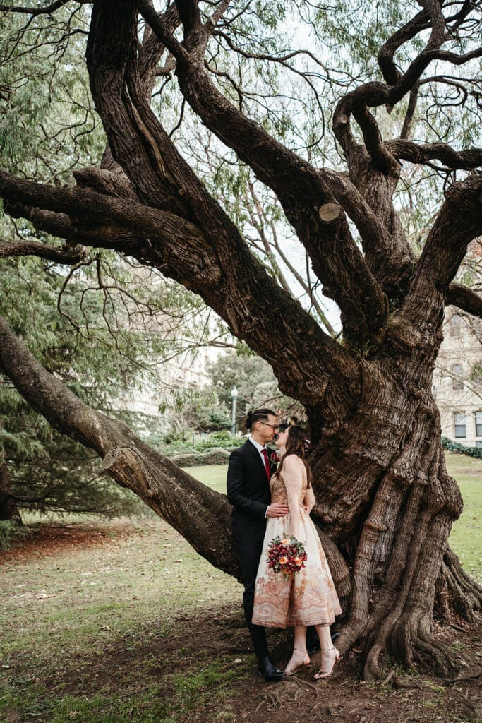 a wedding couple in treasury gardens melbourne near a big tree